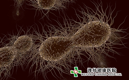 牛皮癬會傳染嗎?癥狀有哪些? 牛皮癬會傳染嗎?癥狀有哪些?