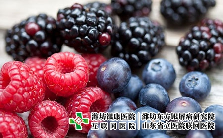 漿果 飲食 漿果 飲食