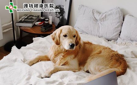 白癜風(fēng)的潛在危害有哪些?應(yīng)該如何護(hù)理?