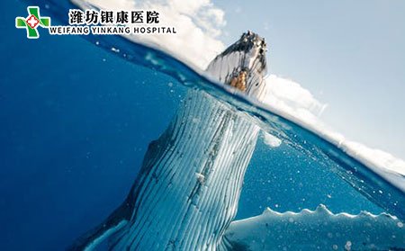 濰坊皮膚病醫院提醒您紅斑狼瘡應該注意些什么?