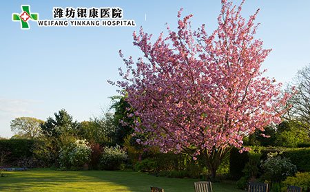 白癜風日常保健應該注意什么?白癜風病因是什么?