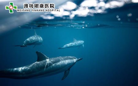 系統(tǒng)性紅斑狼瘡的早期癥狀表現(xiàn)有哪些?