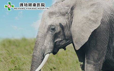 天皰瘡中醫診斷方法有哪些?