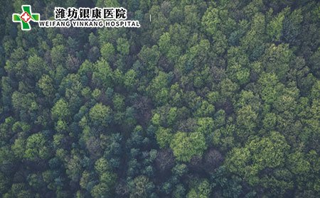 老年白斑就是白癜風嗎?白癜風如何鑒別?