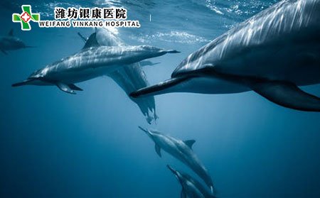 濰坊皮膚病醫院如何遠離手部濕疹?