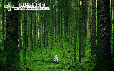 濕疹中醫辨別有哪些?濕疹的危害有哪些?