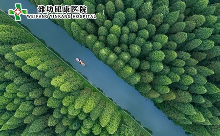 濕疹中醫辨別有哪些?濕疹的危害有哪些?